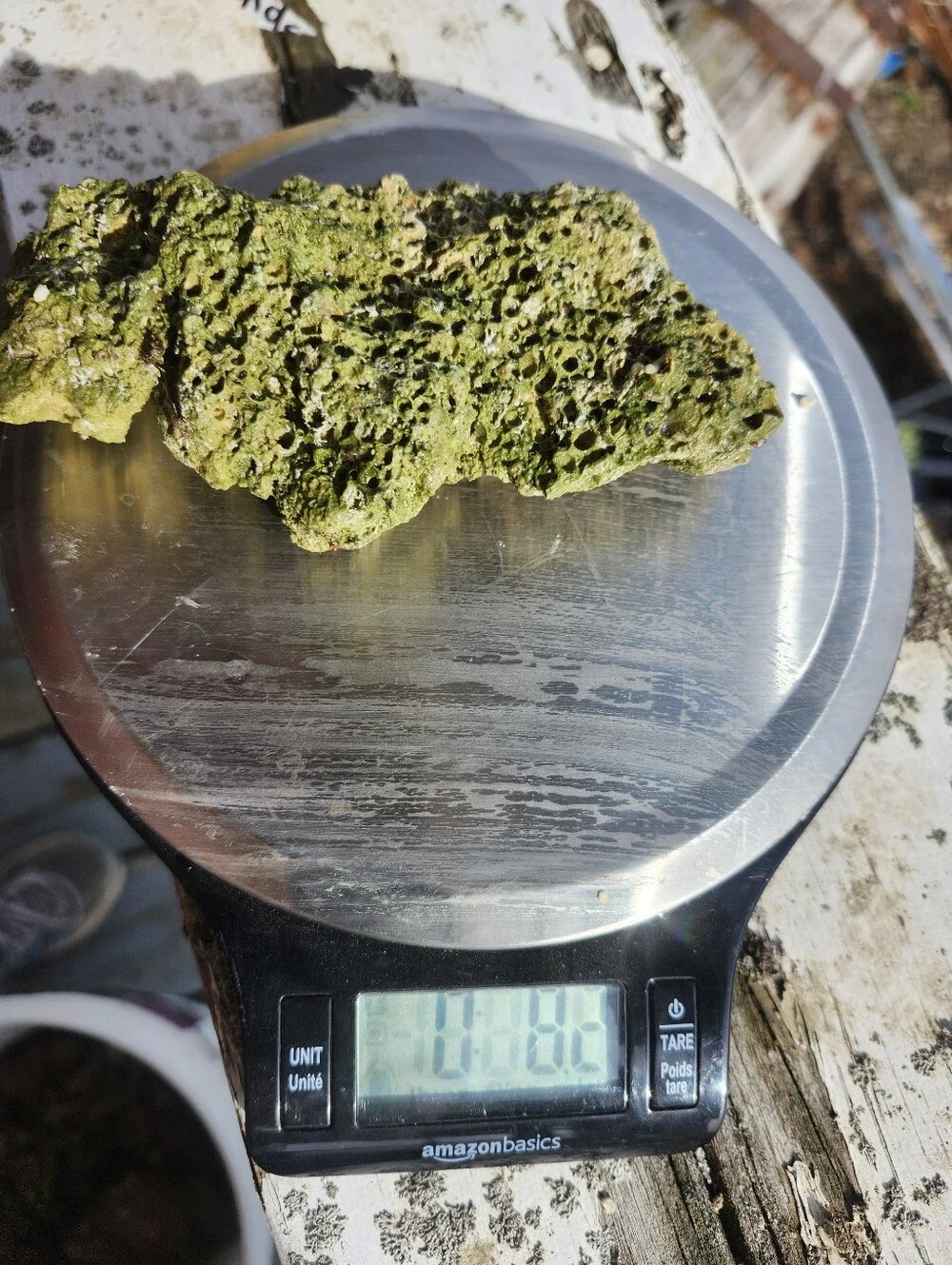 Fiji Dry Base Rock for Saltwater Aquarium Setup Natural Reef Rock Aquascaping